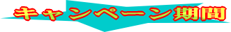 �X�}�C���Ԍ��O�����v���[���g�@�L�����y�[������